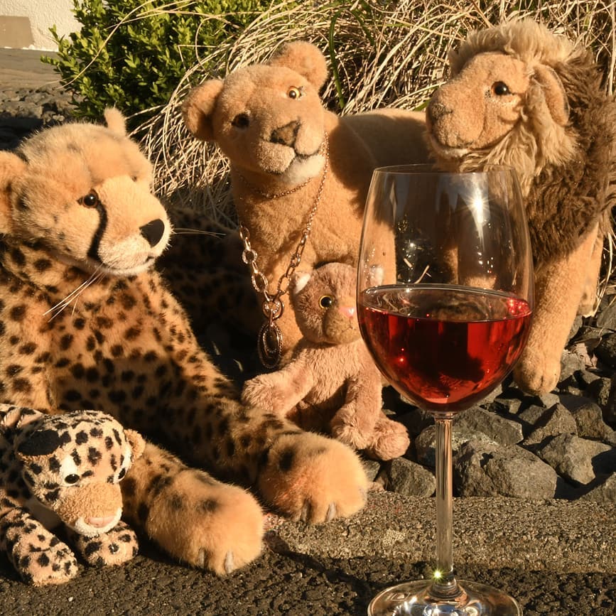Let&#039;s go to the HoneyGroveTeaParty - can it be nicer than enjoying the evening sun with a loved one over a glass of wine? No, so come closer and take a sip. #Wine  #HoneyGroveTeaPartyTuesday  #plushicommunity  #JubaUndMara  #JubaOnTour  #AcinonyxJubatus  #Cheetah  #Juba  #Koesen  #KoesenerSpielzeug  #PlushiesOfInstagram  #PlushiesOfGermany  #Stofftier  #Plueschtier  #Plushie  #Kuscheltier