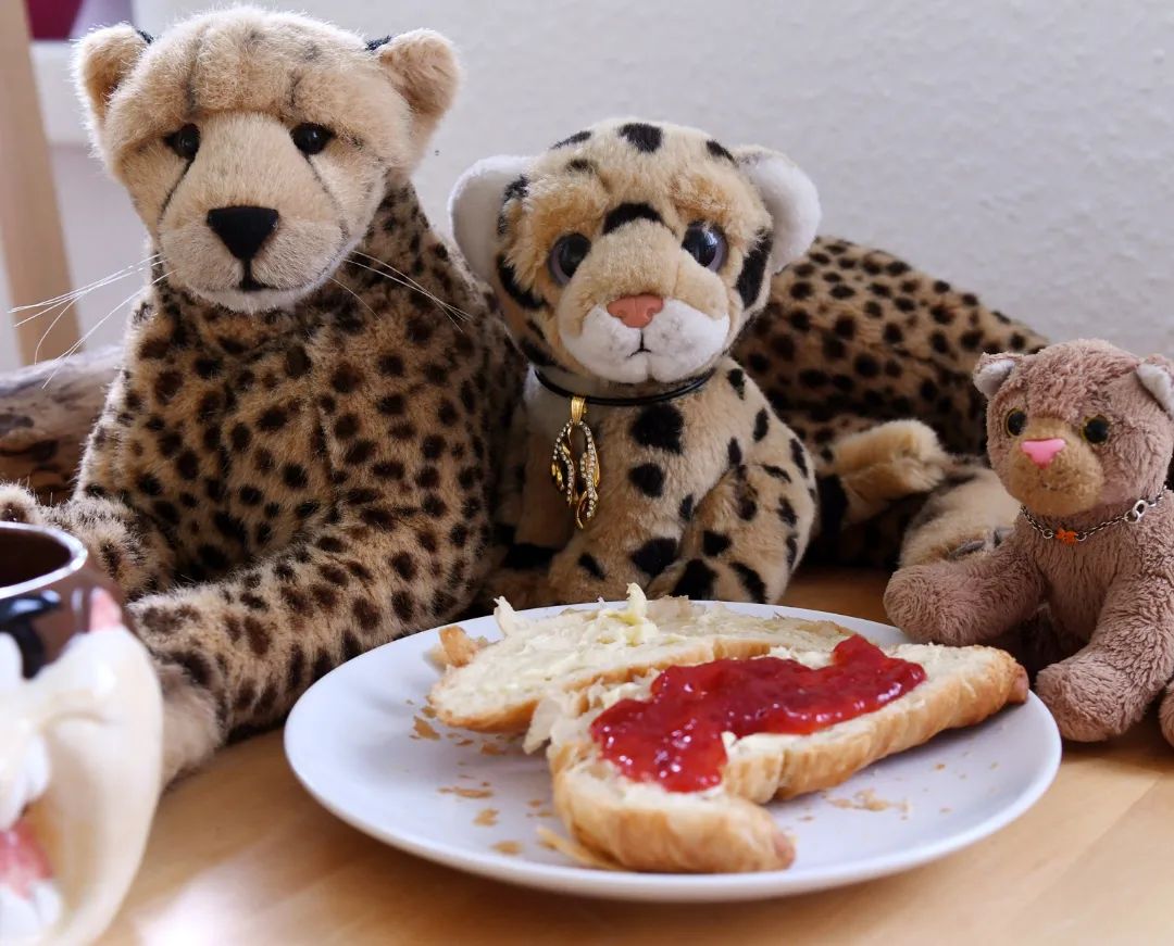 🎼🎵🎶🎶🐆 What time is it?😼🐱😺 Breakfast time! It’s our Sunday.🐆What time is it?😼🐱😺 Croissant time! That’s right, say it loud!🐆 What time is it?😼🐱😺 The time of our lives! Breakfast Party.🐆 What time is it?😼🐱😺 Breakfast time! It’s weekend, scream and shout.🎶🎵🎵🎶If you want, sit down and enjoy it. Have a wonderful  #PlushieSundayBreakfastClub everyone. And a huge big up for hosting @edward_the_foxwood_bear. #Croissant  #StrawberryJam  #Honey  #Rolls  #Coffee  #Mug  #TasmanianDevil  #JubaOnTour  #plushie  #plushies  #stuffies  #plushiesofinstagram  #theinstaplushies  #Plueschtier  #plushiecommunity  #stuffiecommunity  #plushiesofgermany  #plushielife