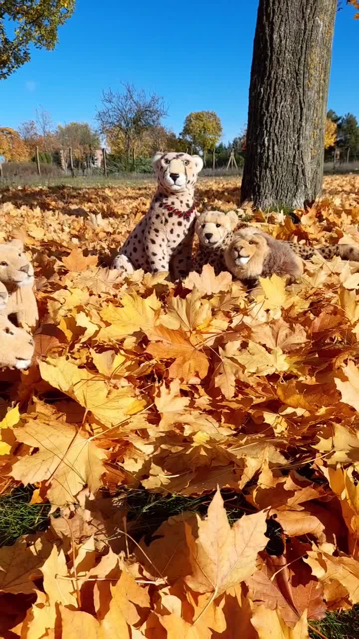 All the adults were lined up, ready for judging. Judging? Yes, for judging the cubbies&#039; leaf pile juuuumps. Wheee. #Maple  #Jump  #Summersault  #Ahorn  #Autumn  #Leaves  #ColorfulLeaves  #AutumnSpecial  #GoldenOctober  #JubasHerbstSpecial  #Herbst  #Laub  #BunteBlaetter  #HerbstSpecial  #GoldenerOktober  #JubaOnTour  #PlushiesOfInstagram  #Plushie  #Kuscheltier  #plushies  #plushiecommunity  #instaplushies  #theinstaplushies  #stuffies  #plushielife  #plushieadventures  #Koesen  #KoesenerSpielzeug