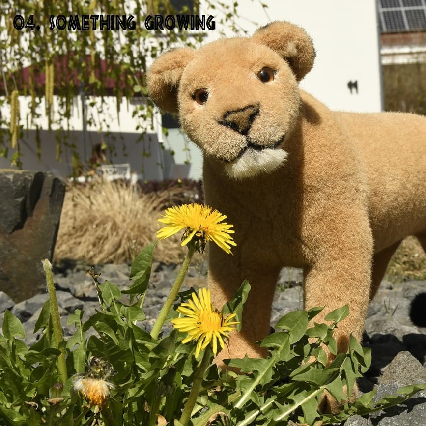 Slide Nummer 5