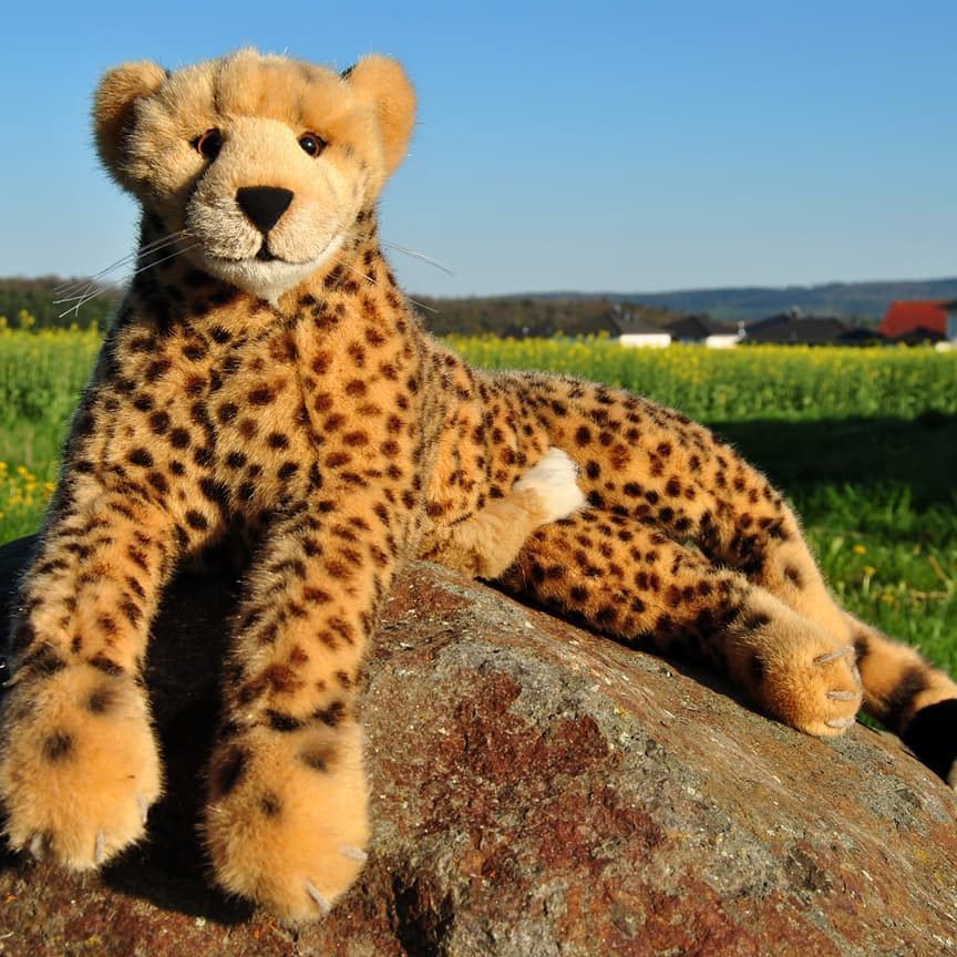 Juba on the rocks. #jubaontherocks  #JubaOnTour  #AcinonyxJubatus  #Cheetah  #Juba  #Koesen  #KoesenerSpielzeug  #PlushiesOfInstagram  #PlushiesOfGermany  #Stofftier  #Plueschtier  #Plushie  #Kuscheltier