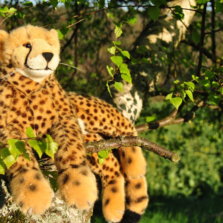 Juba hängt ab. #ClimbingCheetah  #JubaOnTour  #AcinonyxJubatus  #Cheetah  #Juba  #Koesen  #KoesenerSpielzeug  #PlushiesOfInstagram  #PlushiesOfGermany  #Stofftier  #Plueschtier  #Plushie  #Kuscheltier  #LikeALeopard