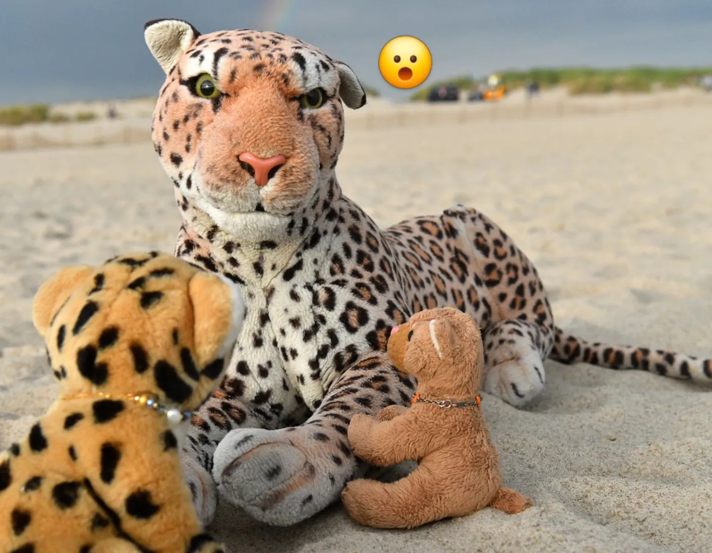 Hallo, hier ist wieder eure Tia. Als ich sagte, ich sei ganz allein hier, war das nicht ganz richtig, denn wie sich zeigte, hatten sich Swede und Mneka in den Rucksack geschlichen. Sie sagten, sie hätten sich ordnungsgemäß bei Papa abgemeldet und versprachen auch, sich zu benehmen. Wie viel von all dem die Wahrheit ist, wissen nur die Kleinen.Ehe Zweifel aufkamen, zog Swede eine kleine Tüte hervor – darin sei ein Dankeschön von Juba, der sich im Voraus für die unverhoffte Kinderbetreuung bedanken möchte. Was wohl in der Tüte ist?🇬🇧Hello, it’s your Tia once again. When I said I was at the sea just by myself, that wasn’t quite right, because it turned out that Swede and Mneka had sneaked into the backpack. They said they had checked out properly with Dad and promised to behave. Only the little ones know how much of the story is true.Before any doubts arose, Swede pulled out a small bag - inside was a thank you from Juba, who wanted to thank me in advance for the unexpected childcare. What’s in the bag? #Leopardin  #Leopardess  #Warnemuende  #Beach  #Rainbow  #Dune  #Strand  #Surprise  #Regenbogen  #Sand  #Duene  #JubaOnTour  #PlushiesOfInstagram  #PlushiesOfGermany  #Plushie  #Kuscheltier  #plushies  #plushiecommunity  #instaplushies  #stuffies  #stuffiesofinstagram  #plushielife  #plushieadventuresPS: Dieser Post enthält unbezahlte Werbung