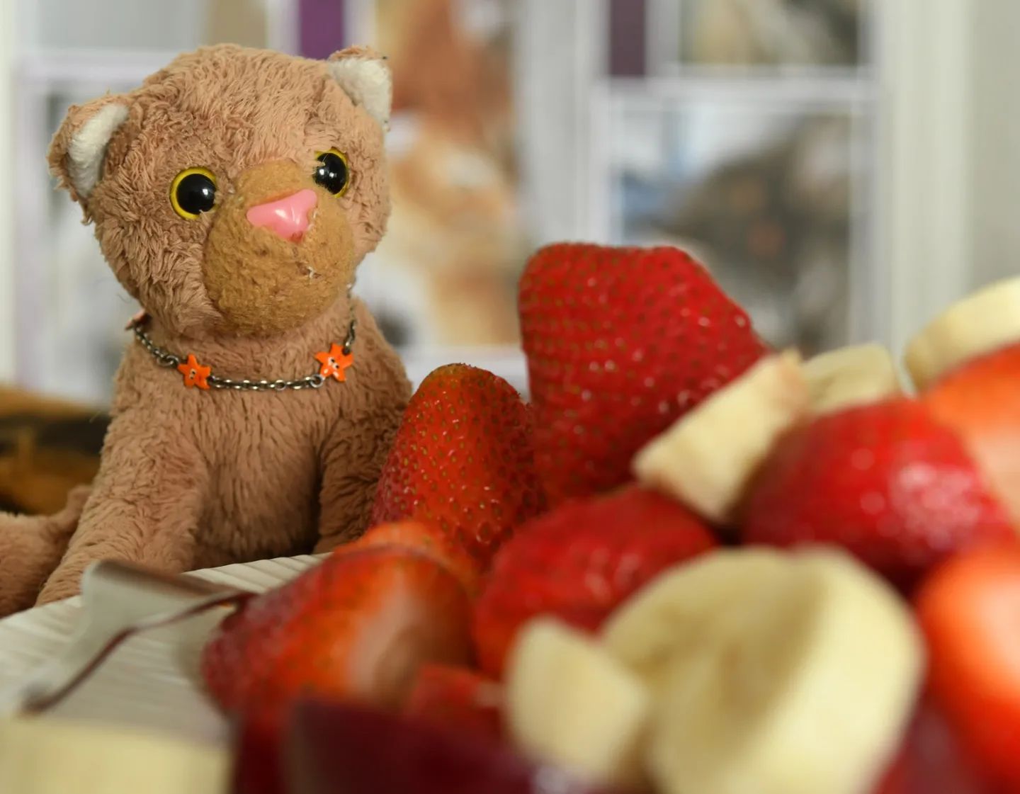 „Esst mehr Obst”, haben sie gesagt. „Am besten 300g Fleisch die Woche, ein Ei und den Rest Pflanzen.“ Dad wird durchdrehen, wenn er das hört. Aber ich versuche es jetzt mal mit dem Obst. Ich esse einfach die ganze Wochenration am Stück; dann habe ich es hinter mir. Hoffentlich hilft’s. 🤷‍♂️🇬🇧“Eat more fruit,” they said. “It&#039;s best to have 300g of meat a week, one egg and the rest plants.” Dad will go crazy when he hears about that. But I&#039;ll give it a try it with the fruit. I just eat the entire week&#039;s ration in one go; then I&#039;m done with it. Hopefully it helps. 🤷‍♂️ #Fruit  #HealthyLife  #Sustainable  #Strawberries  #Weeklyration  #Obst  #GesundLeben  #Nachhaltig  #Erdbeeren  #Wochenration  #JubaOnTour  #PlushiesOfInstagram  #Plushie  #Kuscheltier  #plushies  #plushiecommunity  #instaplushies  #theinstaplushies  #stuffies  #plushielife  #plushieadventures