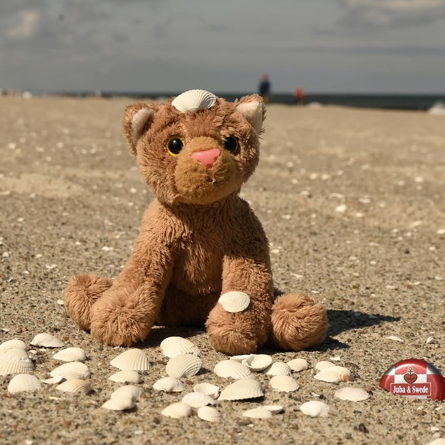 Hallo, hier ist mal wieder Swede.Ihr dürft euch nicht wundern, wenn ich ohne Juba am Strand bin. Der ist in der Ferienwohnung geblieben – bei Tia, denn der geht es nicht so gut. Bauchweh. Aber Juba hat gesagt, ich soll trotzdem an den Strand und das tolle Wetter genießen, und ich soll vorsichtig sein, und ich soll es ihm versprechen, vorsichtig zu sein, und ich soll immer artig berichten, was ich dort erlebt habe. Das will ich auch gleich tun, denn heute Morgen hatte ich noch etwas zu viel Angst vorm Wasser und habe mich nicht so nah herangetraut. Jetzt stand ich sogar auf einem dieser versunkenen Bäume, die die Wellen kleinmachen sollen. Seht ihr’s? Trotzdem war mir ein wenig mulmig zumute.Danach habe ich ein wenig im Sand gespielt, habe Muscheln gesucht. Das waren so viele - und das ist kein Witz -, dass da andere Strandbesucher stehengeblieben sind, um zu schauen, was ich da im Sand mache. Dann haben sie gestaunt und geschmunzelt und andere Leute kamen und staunten, als hätten so noch nie eine Katze gesehen, die Muscheln sammelt.Aber das beste kommt jetzt: Ich habe einen neuen Freund kennengelernt. Der nennt sich Tigger – T.I.Doppel-G.Rrrr. Der ist ein bisschen verrückt, aber der kann supergut springen. Das hat er mir erst gezeigt und dann auch erklärt, wie man es richtig macht. Das war ein Spaß, kann ich euch sagen.Danach bin ich zurückgelaufen, um zu schauen, was Juba macht und wie es Tia geht. #Ostsee  #Tigger  #Muscheln  #MuschelnFuerJuba  #Wellen  #Tigger  #MakingFriends  #BounceBounceBounce  #KaterAmMeer  #JubaUndSwede  #Warnemuende  #EndlosesWasser  #LovedBefore  #LovedRightNow  #plushicommunity  #JubaUndMara  #JubaOnTour  #AcinonyxJubatus  #Cheetah  #Juba  #Koesen  #KoesenerSpielzeug  #PlushiesOfInstagram  #PlushiesOfGermany  #Stofftier  #Plueschtier  #Plushie  #Kuscheltier