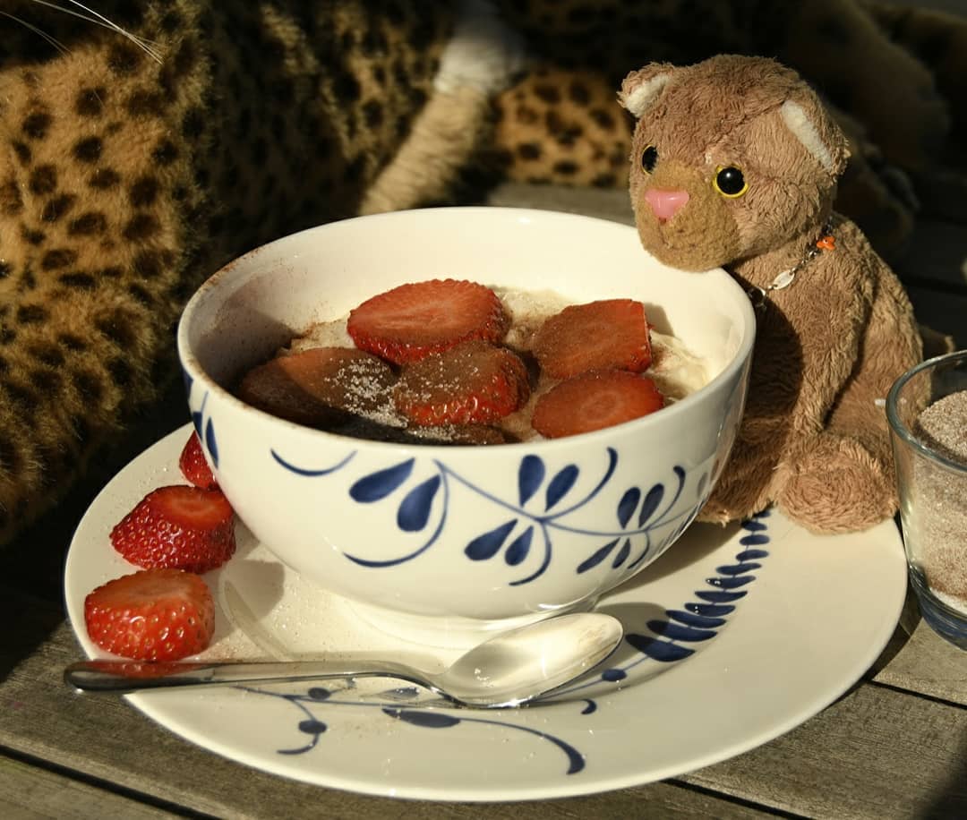 Finally Tuesday, and that means:  #HoneyGroveTeaPartyTuesday hosted by the awesome @honeygrovebears - today with the most delicious rice pudding, with sugar and cinnamon and the freshest strawberries from here to- to the supermarket. That&#039;s right!🇩🇪 Endlich Dienstag, und das bedeutet:  #HoneyGroveTeaPartyTuesday, heute mit leckerstem Milchreis, mit Zucker und Zimt und den frischesten Erdbeeren von hier bis- bis zum Supermarkt. Genau! #RicePudding  #Cinnamon  #Strawberries  #Milchreis  #Zimt  #Erdbeeren  #JubaOnTour  #AcinonyxJubatus  #Cheetah  #Juba  #PlushiesOfInstagram  #PlushiesOfGermany  #Stofftier  #Plueschtier  #Plushie  #Kuscheltier  #plushies  #plushiecommunity  #instaplushies  #stuffies  #stuffiesofinstagram  #plushielife