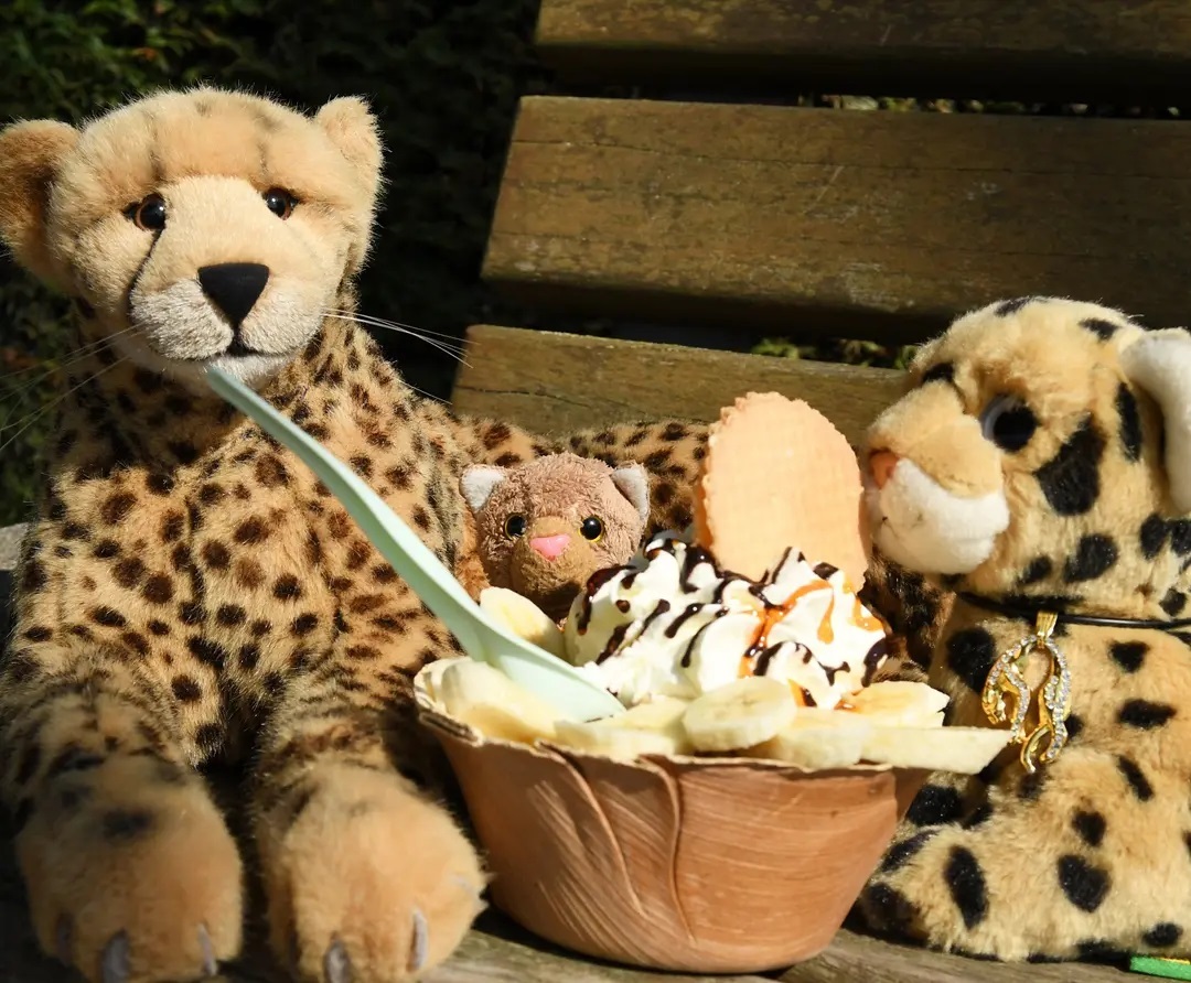 In the light of the warm weather, it is essential to regularly cool down appropriately for the temperatures - that is what my Swede said. For this purpose, she said as well, we should appear with a delicious ice cream on today&#039;s  #HoneyGroveTeaPartyTuesday - after all, health is the most important good. #IceCream  #Sundae  #Eisbecher  #ChefBecher  #EiscafeAmRhein  #WiesbadenBiebrich  #JubaOnTour  #AcinonyxJubatus  #Cheetah  #PlushiesOfInstagram  #PlushiesOfGermany  #Plushie  #Kuscheltier  #plushies  #plushiecommunity  #instaplushies  #stuffies  #stuffiesofinstagram  #plushielife  #Koesen  #KoesenerSpielzeug