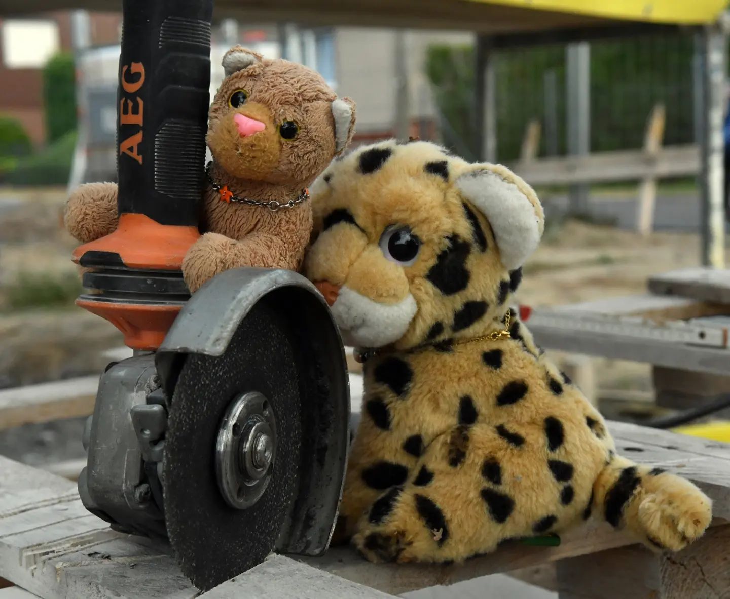 »Könnt ihr heute mal auf der Baustelle aushelfen?«, haben sie gesagt. »Nur ein bisschen zur Hand gehen«, haben sie gesagt. Aber dass die ganze Arbeit an uns hängenbleiben würde, war scheinbar nicht der Rede wert.Immerhin ist nun alles kurz und klein geschnitten und alle Finger sind noch dran, außerdem waren die Getränke umsonst. Das ist immerhin etwas Gutes.🇬🇧»Can you help out on the construction site today?«, they said. »Just give us a hand«, they said. But the fact that all the work would be left to us was apparently not worth mentioning.At least everything is chopped up and all the fingers are still there, and the drinks were free. That’s a good thing at least.Disclaimer: Unpaid advertising due to recognizable brand names #ConstructionSite  #HardWork  #Flex  #AngleGrinder  #Baustelle  #HarteArbeit  #Winkelschleifer  #JubaOnTour  #PlushiesOfInstagram  #PlushiesOfGermany  #Plushie  #Kuscheltier  #plushies  #plushiecommunity  #instaplushies  #stuffies  #stuffiesofinstagram  #plushielife  #plushieadventures