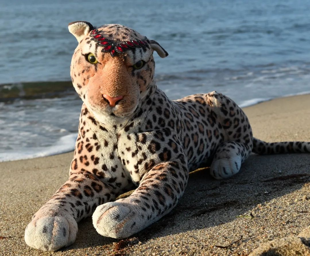 Zu jeder Hochzeit gehört auch eine Pfotosession.🇬🇧Every wedding also includes a photo session. #Photoshooting  #Strand  #Hochzeit  #BalticSea  #Ostsee  #TiaUndPumuzi  #JubaOnTour  #PlushiesOfInstagram  #PlushiesOfGermany  #Stofftier  #Plueschtier  #Plushie  #Kuscheltier  #plushies  #plushiecommunity  #instaplushies  #stuffies  #stuffiesofinstagram  #plushielife