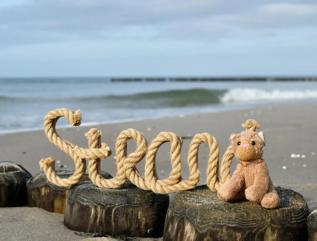 Hallo, hier ist eure bezaubernde Swede. Mancher fragt sich ja, wo es zum Strand geht – der ist leicht zu finden. Man muss einfach nur den Schildern folgen, aber zur Sicherheit habe ich den Strand beschriftet. Seht ihr?🇬🇧Hello, here is your lovely Swede. Some might wonder where the beach is - it&#039;s easy to find. You just have to follow the signs, but I&#039;ve labeled the beach just to be safe. Do you see? #Beach  #Waves  #Ostsee  #BalticSea  #JubaOnTour  #PlushiesOfInstagram  #PlushiesOfGermany  #Stofftier  #Plueschtier  #Plushie  #Kuscheltier  #plushies  #plushiecommunity  #instaplushies  #stuffies  #stuffiesofinstagram  #plushielife