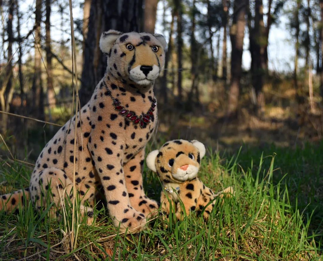 Gestern saßen wir verlassen im Wald. Aber ich gebe zu, es war unsere Idee, denn als die Sonne hochstand und zwischen den Bäumen hindurchsah, da wandelte mich ein Gedanke an: Wie wäre es, wenn mir mal Bilder wie in einem verzauberten Wald machten? Und deshalb saßen wir verlassen im Wald, ganz still und geduldig, harrend der Pfotos, die da kämen.Nun, ich kann nicht sagen, dass die Bilder besonders verwunschen geraten sind, aber das war auch nicht zu erwarten. Stattdessen sind es einfach nur Bilder von uns, verlassen im Wald. Und wenn ich das noch einmal sage, eeenmal, fange ich an zu singen.🎵🎵🎶Und nun bin ich ganz alleinSteh&#039; verlassen im WaldNord ist Süd, rechts ist links ohne dich🎶🎵🎵🇬🇧Yesterday we sat in the woods. But I admit it was our idea, because as the sun rose up and peeked through the tops, a thought ran over me: how about taking pictures like in an enchanted forest? And so, we sat there like lost in the woods, very quietly and patiently waiting for the photos to come.Well, I can&#039;t say the pictures turned out to be particularly haunted, but I didn&#039;t expect that either. Instead, they&#039;re just pictures of us, lost in the woods. And if I say that one more time, I&#039;ll start over singing. Feel free to sing along.🎵🎶🎶Now I turn around and find I am lost in the woodsNorth is south, right is left, when you&#039;re gone.🎶🎵🎶 #Wald  #VerzauberterWald  #EnchantedForest  #LostInTheWoods  #Woods  #JubaOnTour  #PlushiesOfInstagram  #PlushiesOfGermany  #Stofftier  #Plueschtier  #Plushie  #Kuscheltier  #koesenerspielzeug  #plushies  #plushiecommunity  #instaplushies  #stuffies  #stuffiesofinstagram  #plushielife  #Kuscheltier