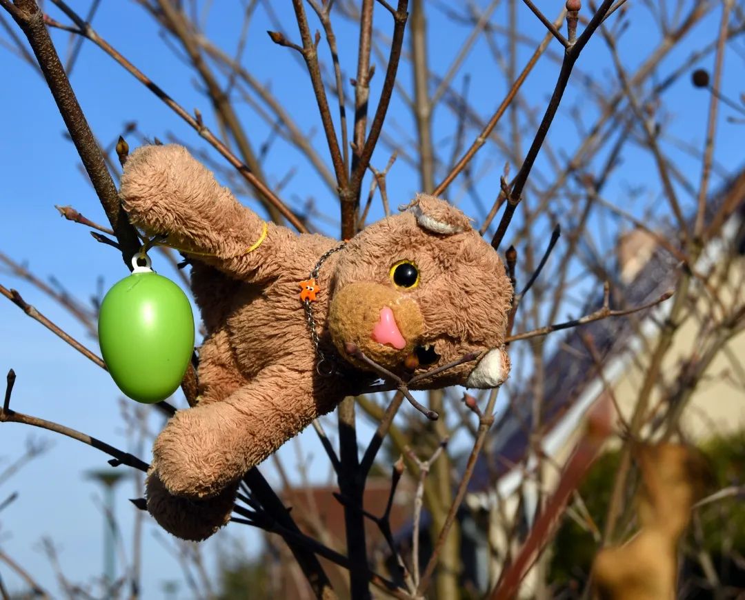 ...hier ein Ei, da ein Ei, überall ein Ei, Ei... #EasterIsComing  #Eastereggs  #Easter  #Ostereier  #Ostern  #JubaOnTour  #PlushiesOfInstagram  #PlushiesOfGermany  #Stofftier  #Plueschtier  #Plushie  #Kuscheltier  #plushies  #plushiecommunity  #instaplushies  #stuffies  #stuffiesofinstagram  #plushielife