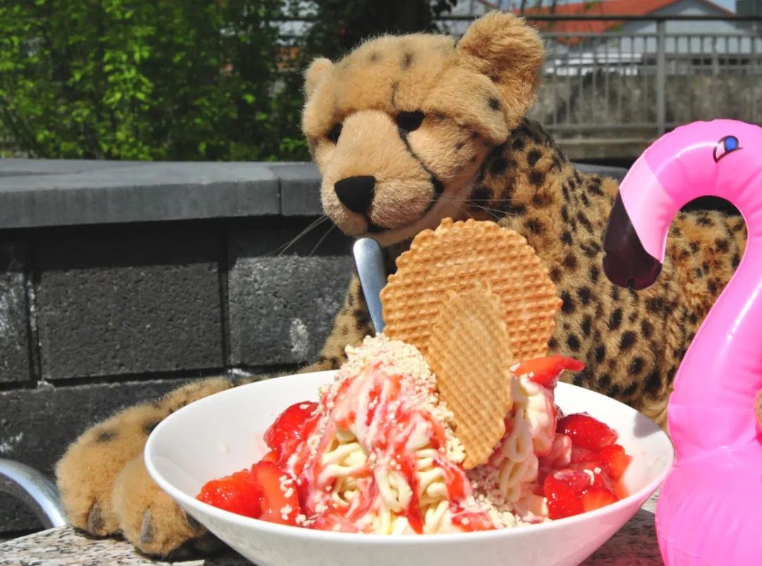 Ein altes Sprichwort sagt: Scheint am Sonntag auch die Sonne, gibt’s Eis in Massen, zweifelsohne.Gut, vielleicht ist auch dieses Sprichwort noch nicht sooo alt und viel weniger bekannt, aber wenn ihr wollt, setzt her und schleckt mit uns – euch allen einen wunderbaren  #PlushieSundaeBreakfastClub.🇬🇧An old proverb says: If sun is shining on Sundays too, there will be ice cream for all of you.Yeah, this saying isn’t that old as well, but if you want to, sit down - have a wonderful  #PlushieSundaeBreakfastClub. #Sundae  #Sunday  #Eisbecher  #Sonntag  #Kaffee  #JubaOnTour  #PlushiesOfInstagram  #PlushiesOfGermany  #Plushie  #Kuscheltier  #plushies  #plushiecommunity  #instaplushies  #stuffies  #stuffiesofinstagram  #plushielife  #plushieadventures  #Koesen  #KoesenerSpielzeug