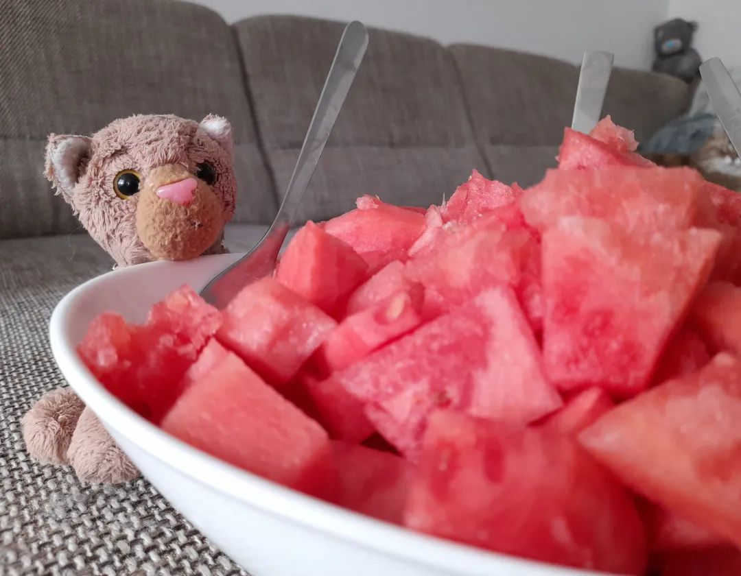 Sommerzeit ist Melonenzeit. Jeder mag Melonen. 🤭🇬🇧Summer time is melon time. Everyone likes melons. 🤭 #WaterMelon  #Melon  #Veggies  #Fruits  #JubaOnTour  #PlushiesOfInstagram  #PlushiesOfGermany  #Plushie  #Kuscheltier  #plushies  #plushiecommunity  #instaplushies  #stuffies  #stuffiesofinstagram  #plushielife  #plushieadventures