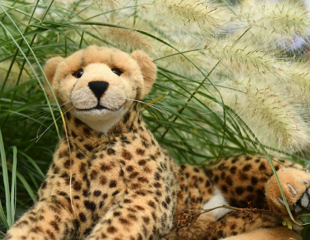 Ich, wie ich unter einem Gesträuch aus Lampenputzergräsern entspanne.🇬🇧Just me relaxing under a bush of fountain grass. #Lampenputzergras  #FountainGrass  #JubaOnTour  #PlushiesOfInstagram  #PlushiesOfGermany  #Plushie  #Kuscheltier  #plushies  #plushiecommunity  #instaplushies  #stuffies  #stuffiesofinstagram  #plushielife  #plushieadventures  #Koesen  #KoesenerSpielzeug