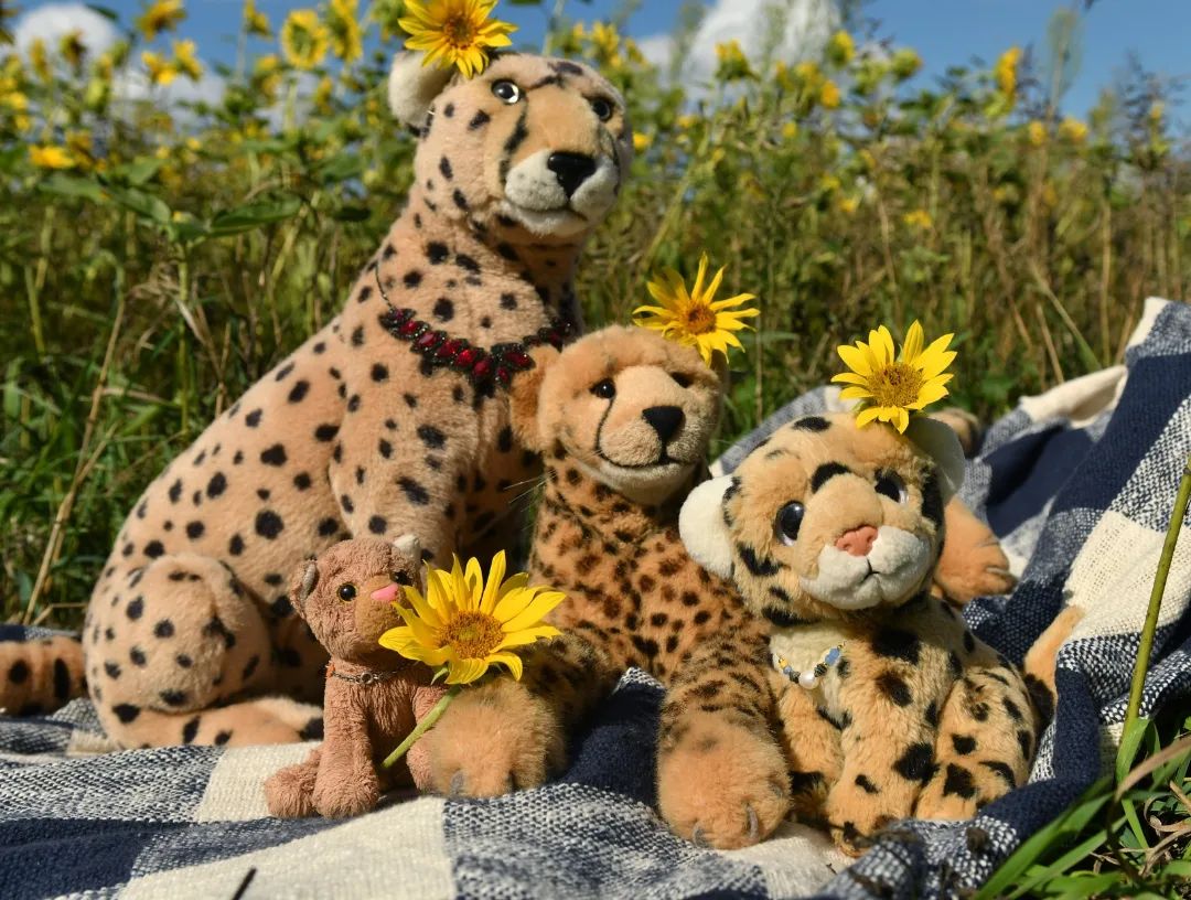 Familienphoto ist, wenn niemand in die Kamera sieht… Das heißt, eigentlich sollte es ja gar kein Familenphotoshooting werden, stattdessen war ein Picknick im Sonnenblumenfeld geplant. Allerdings vergaß irgendwer den Picknickkorb, drum saßen wir auf der Decke mit knurrenden Mägen und Ameisen im Pelz und versuchten, das Beste daraus zu machen. So war es immerhin nicht weniger als ein schöner Ausflug.🇬🇧A family photo is when nobody is looking at the camera... Well, actually it wasn&#039;t supposed to be a family photo shoot at all, instead the trip was planned as a picnic in the sunflower field. However, someone forgot the picnic basket, so we sat on the blanket with growling stomachs and ants in furs trying to make the best of it. At least it was nothing less than a nice trip. #picnic  #sunflowers  #sunflowerfield  #blanket  #Picknick  #Sonnenblumen  #Sonnenblumenfeld  #Decke  #JubaOnTour  #PlushiesOfInstagram  #PlushiesOfGermany  #Plushie  #Kuscheltier  #plushies  #plushiecommunity  #theinstaplushies  #instaplushies  #stuffies  #stuffiesofinstagram  #plushielife  #plushieadventures  #Koesen  #KoesenerSpielzeug