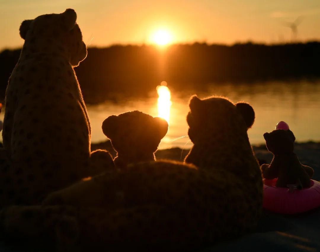 Nachdem bei den Flamingos die Luft raus war, lagen wir noch ein wenig im Sand herum und erfreuten uns am bloßen Sein. Und das Sein ward gar erfreulicher, als die Sonne hinterm Hain niedersank und die Welt in einen roten Schein tauchte. Nach so langer Zeit sahen wir endlich mal wieder einen Sonnenuntergang.🇬🇧After the flamingos were flattened, we lay in the sand for a bit and enjoyed our existance. And existance became even more joyful when the sun sank behind the grove and bathed the world in a red glow. What a wonderul sunset it was. #Lake  #Sunset  #Beach  #Sand  #Flamingo  #Floatie  #BeerCanHolder  #JubaOnTour  #PlushiesOfInstagram  #PlushiesOfGermany  #Plushie  #Kuscheltier  #plushies  #plushiecommunity  #theinstaplushies  #instaplushies  #stuffies  #stuffiesofinstagram  #plushielife  #plushieadventures  #Koesen  #KoesenerSpielzeug