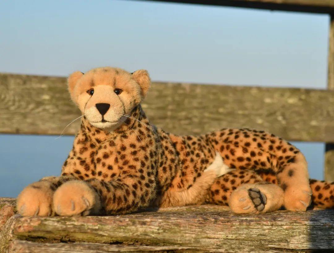 Good Morning! #BalticSea  #Ostsee  #JubaAnDerOstsee  #JubaAnDerOstsee2023September  #Cheetah  #Adventure  #Vacation  #Gepard  #Abenteuer  #Urlaub  #JubaOnTour  #PlushiesOfInstagram  #Plushie  #Kuscheltier  #plushies  #plushiecommunity  #instaplushies  #theinstaplushies  #stuffies  #plushielife  #plushieadventures   #Koesen  #KoesenerSpielzeug