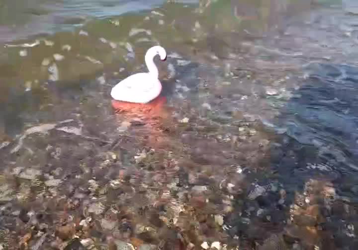 Doch ehe es zum Flamingospaß kam -  Spaß hieß, sich ungeachtet aller Gefahren ins Wasser zu stürzen -, sollte ein &quot;Trocken&quot;lauf mit einem unbesetzten Flamimgo gemacht werden. Niara bestand darauf - entweder eine Trockenübung oder niemand würde auf das Wasser gehen. Und wie sich zeigte, war das keine schlechte Idee... O weh. 😯🇬🇧But before the flamingo fun started - fun meant throwing yourself into the water regardless of the upcoming dangers - a &quot;dry&quot; run with an unoccupied flamingo had to be done. Niara insisted - either a dry run or no one would go on the water at all. And as it turns out, that wasn&#039;t a bad idea... O my. 😯 #Beach  #Strand  #Sand  #Sea  #Flamingo  #Floatie  #BalticSea  #Ostsee  #JubaAnDerOstsee  #JubaAnDerOstsee2023September  #Cheetah  #Adventure  #Vacation  #Gepard  #Abenteuer  #Urlaub  #JubaOnTour  #PlushiesOfInstagram  #Plushie  #Kuscheltier  #plushies  #plushiecommunity  #instaplushies  #theinstaplushies  #stuffies  #plushielife  #plushieadventures