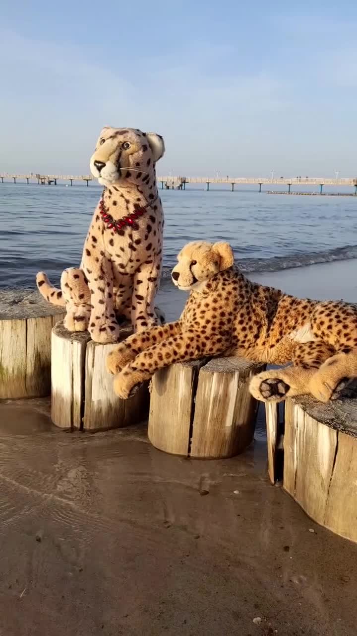 No need for words. #Waves  #Wellen  #Sunset  #Sonnenuntergang  #BalticSea  #Ostsee  #JubaAnDerOstsee  #JubaAnDerOstsee2023September  #Cheetah  #Vacation  #Gepard  #Urlaub  #JubaOnTour  #PlushiesOfInstagram  #Plushie  #Kuscheltier  #plushies  #plushiecommunity  #instaplushies  #theinstaplushies  #stuffies  #plushielife  #plushieadventures   #Koesen  #KoesenerSpielzeug