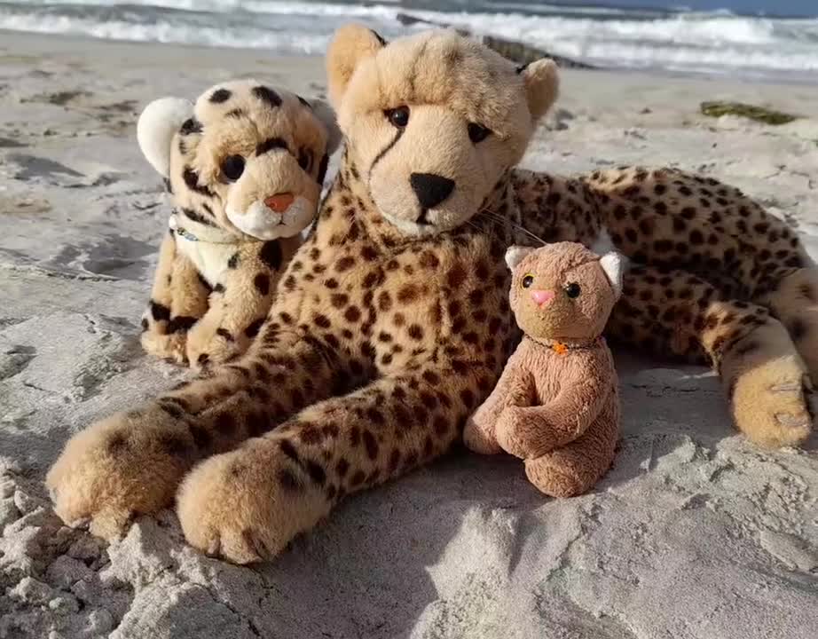 O my, I bought a tiny kite for the cubbies to make it fly - to no avail. The wind was like a wild beast, devouring everything it caught in its clutches. 😮 #Ostsee  #Sturm  #Markgrafenheide  #JubaOnTour  #KoesenerSpielzeug