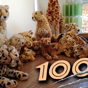 100Followers