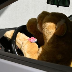 Autofahren