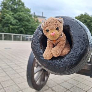 Cannon