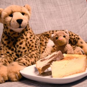 CheesCake