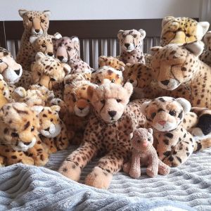 CheetahDay
