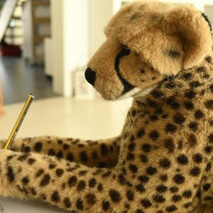 CheetahPortrait