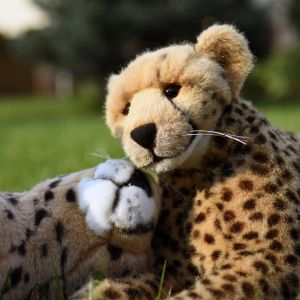 CheetahsInLove