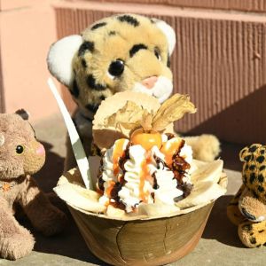 ChefSundae