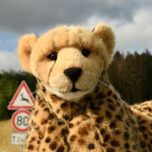 Frechheit