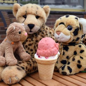 IceCream