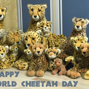 IntlCheetahDay