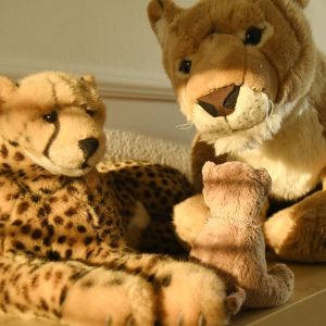 MeetTheTeddiesMonday
