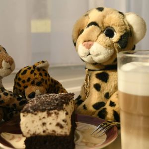 MoleCake
