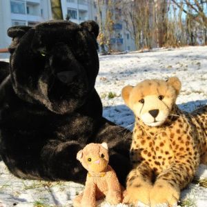 Panther