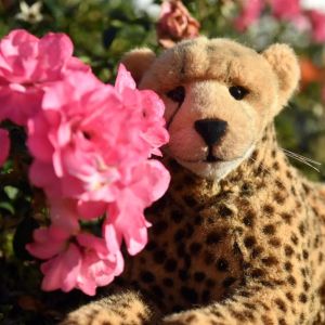 PinkRoses