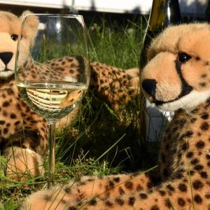 PinotGris