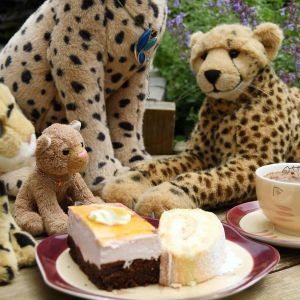 RaspberryCake