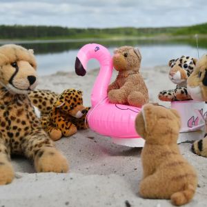 RCFlamingo