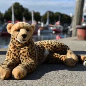 Segelschiffe