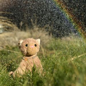 SelfmadeRainbow