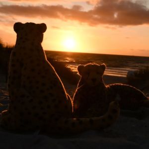 Silhouettes