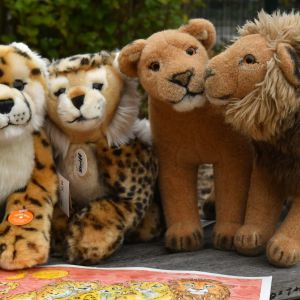 TheLionKing