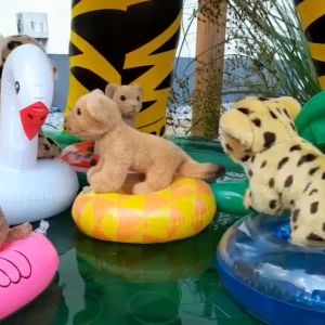 TigerPool