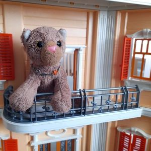 tinyhouse