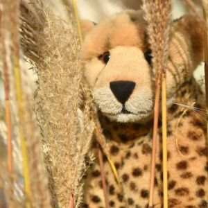 Verstecken